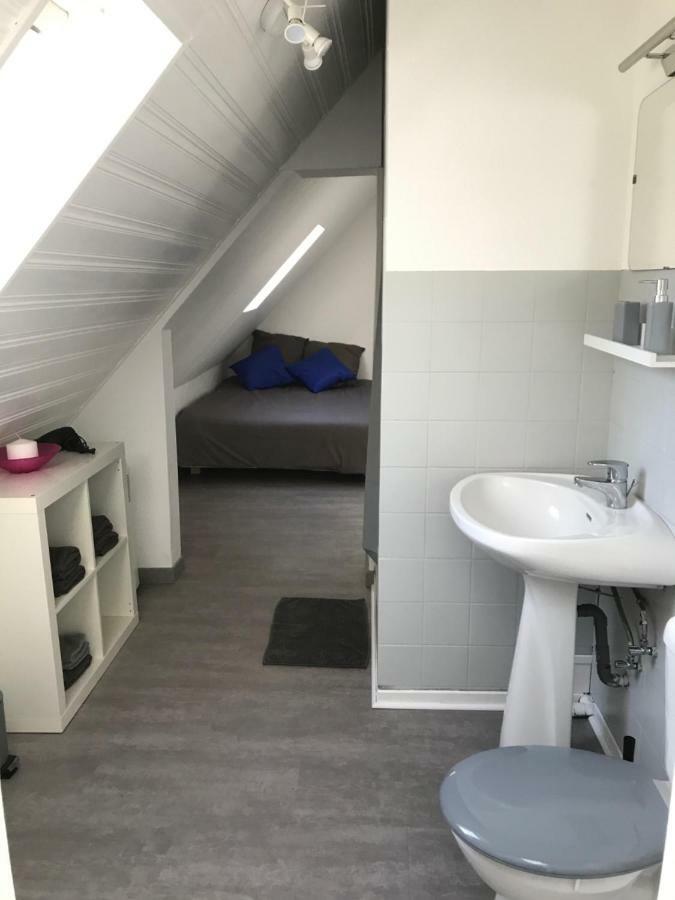 F1 Atypique Au Centre De Strasbourg Daire Dış mekan fotoğraf