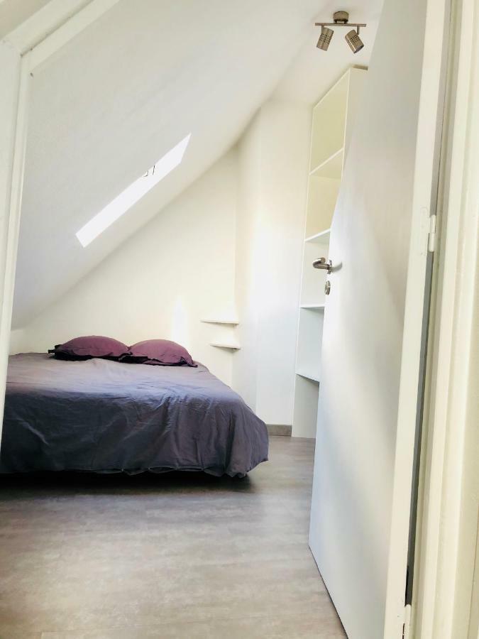 F1 Atypique Au Centre De Strasbourg Daire Dış mekan fotoğraf
